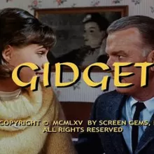 Sally Field recalls her role in "Gidget" & Relationship with Don Porter